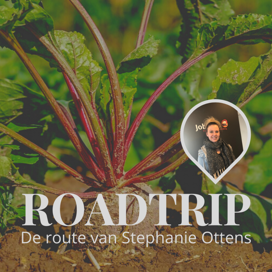 De route van Stephanie Ottens
